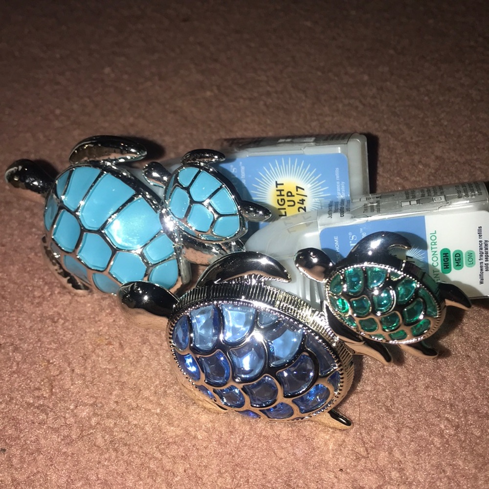 Set of 2 turtle wallflowers